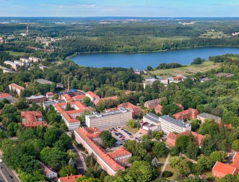 Panorama kortowa