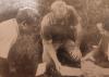 Prace scaleniowe w ówczesnym woj. kieleckim: analiza wyników pomiarów bezpośrednio w terenie (Jerzy Bryl po środku). Rok 1966.